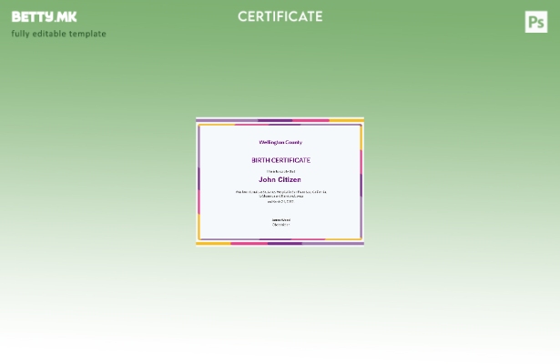 модерен стил Шаблон за извод од матичната книга на родените во болницата во СА 1